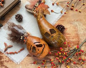 This shows two unusual monster pumpkin gourds laid down next two bittersweet berries. They are made with dried gourds that have silly faces.